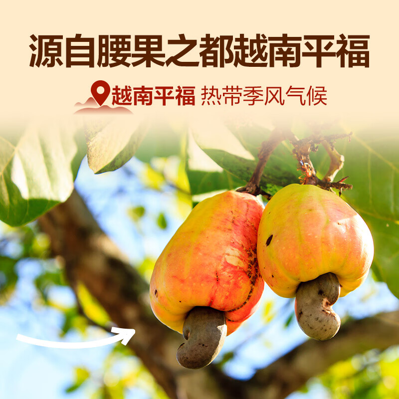 良品铺子 紫衣腰果500g大颗粒A180越南带皮每日坚果干果企业送礼团购罐装