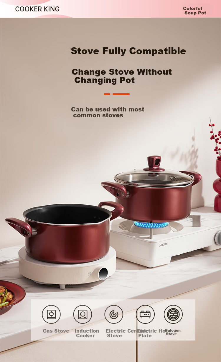 COOKER KING Non-Stick Soup Pot Easy-To for Stewing, Cooking Porridge, Milk Pot 22cm Compatible with Induction Cooker Colorful WG14320 5