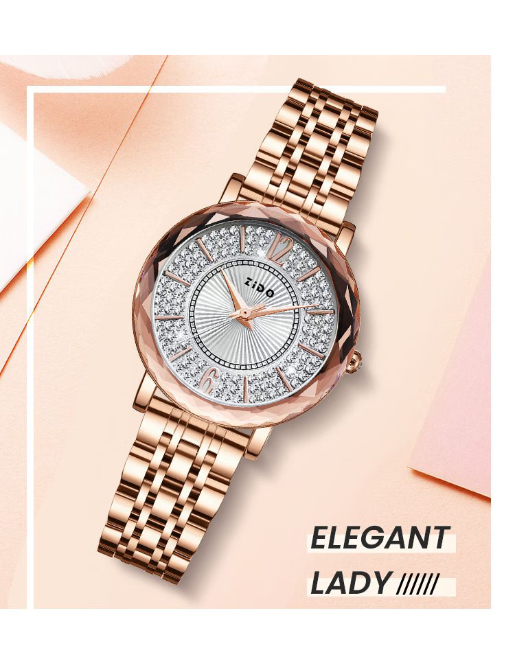 ZIDO ZIDO Light Luxury Women's Trendy Korean Style Quartz Watch 1207 White Dial 1