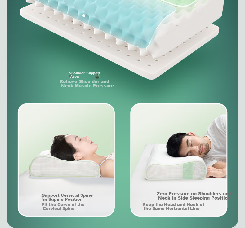 JaCe Thai Imported Latex Pillow, Bread-Shaped Cervical Pillow, 96% Natural Latex Content 13
