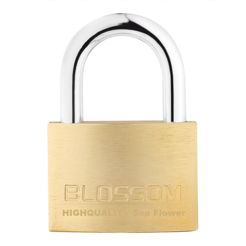 BLOSSOM Copper Padlock, 45MM, Double Latch Anti-Theft Rust-Resistant Lock, for Trunk And Cabinet Doors, 075
