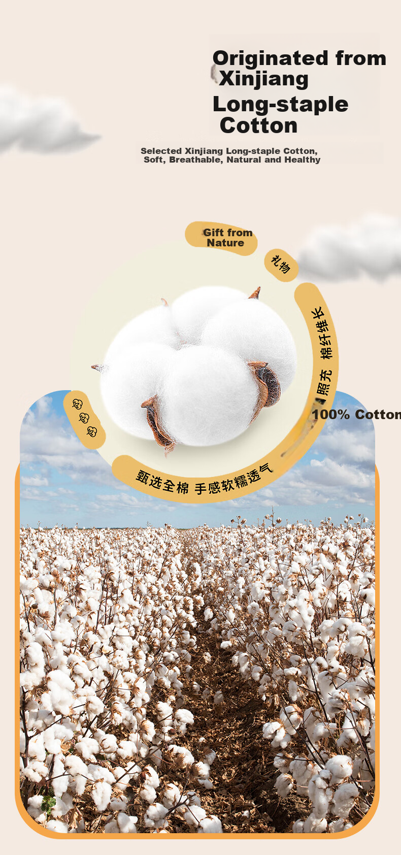 Yunjin 100% Pure Cotton Xinjiang Cotton Quilt, All-Cotton Comforter, Autumn And Winter Duvet, 5 Jin (2.5 Kg), 150*200cm, Jinguang 3