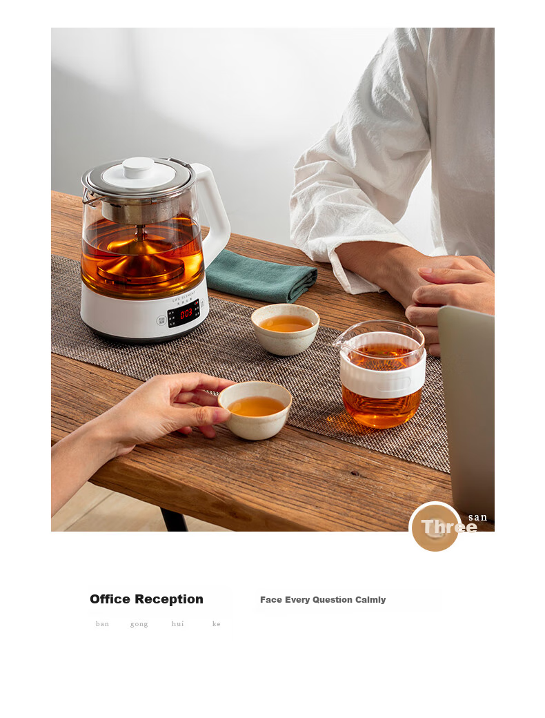 LIFE ELEMENT Health Pot Mini Tea Maker Electric Kettle for Brewing Tea, Decoction, Medicinal Herbs, Water Boiling, Smart Health Cup 0.6L I13-H02 11