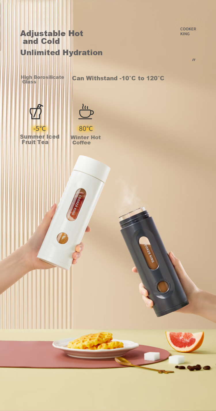 COOKER KING Double-Layer Insulated Glass Tea Infuser Mug for Men And Women, Portable Glass Water Cup, Green, 420ml 1