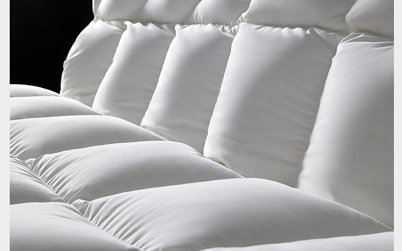 Mercury Home Textiles 95% White Goose Down Quilt Thickened Winter Double Duvet 220×240cm-1100g 25