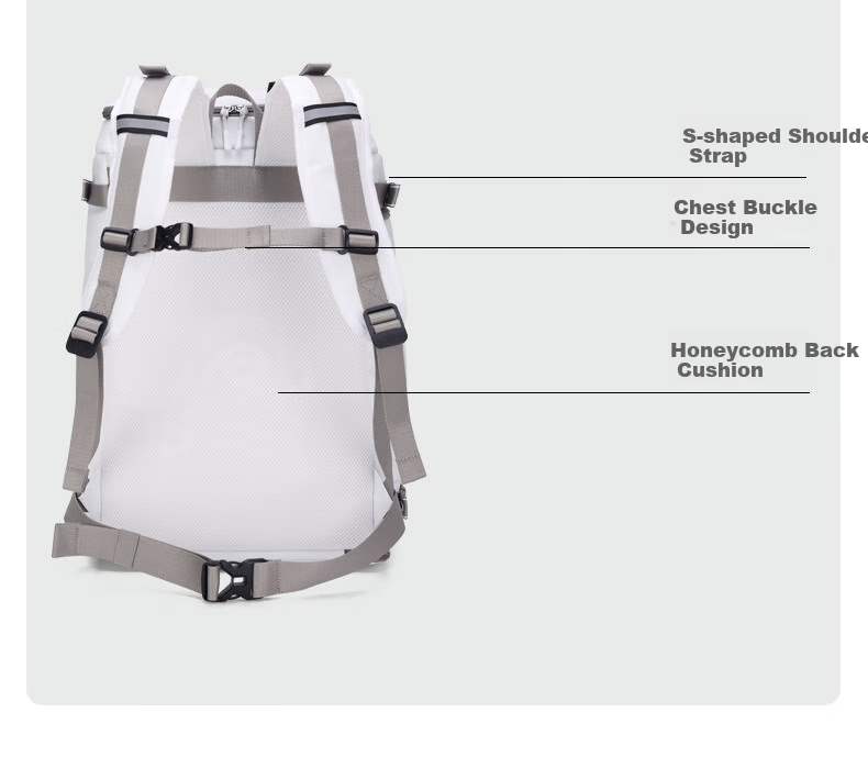 HEAD Ski Backpack, Multifunctional, Large Capacity, Sports Board Bag, 25-26 Snow Season, Carry-On Snow Bag, Cold Resistant to -20°C 16