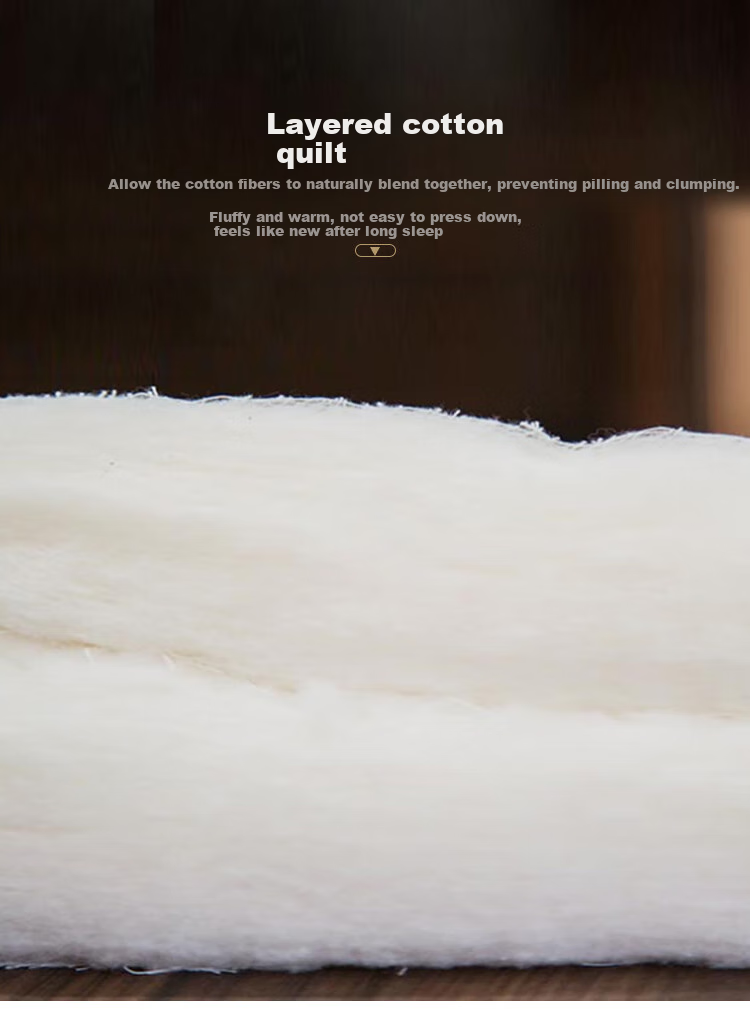 YALU&FREEDOM Antibacterial Cotton Mattress Pad, Bedding Bottom Layer, Single Or Double Soft Mat, Thickened for All Seasons, 200x220cm [6 Jin] 6