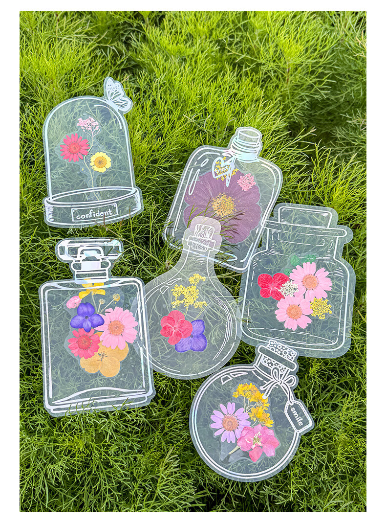 Tianse Transparent Dried Flower Bookmarks Handmade DIY Material Kit Leaf Specimen Laminated Plant Pressed Petals Back to School Set 20 Sheets TS-6132 24