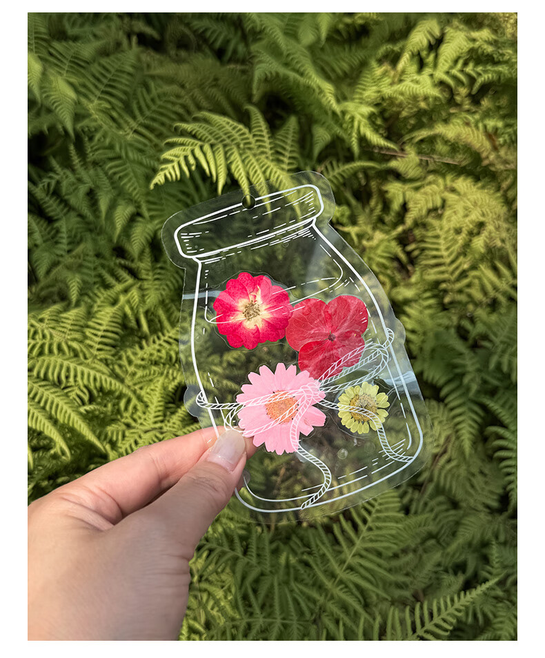 Tianse Transparent Dried Flower Bookmarks Handmade DIY Material Kit Leaf Specimen Laminated Plant Pressed Petals Back to School Set 20 Sheets TS-6132 26