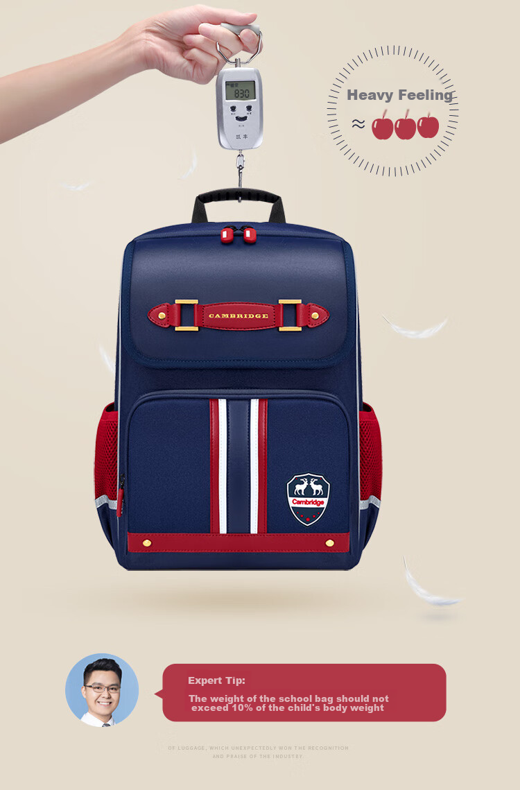 Dijiuchengbao Schoolbag for Primary School Students Grades 4-6, Ultra-Lightweight, Anti-Sagging, Pressure-Reducing, Spine-Protecting Backpack for Girls 10