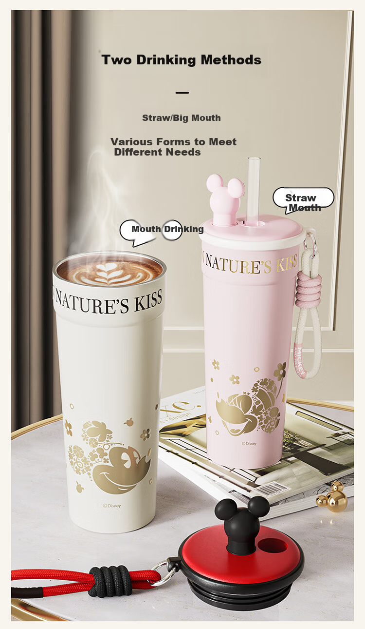 Dishini Insulated Mug for Men And Women, Coffee Cup, 316L Stainless Steel Straw Water Bottle, Large Capacity Birthday Gift, 700mL Minnie 1
