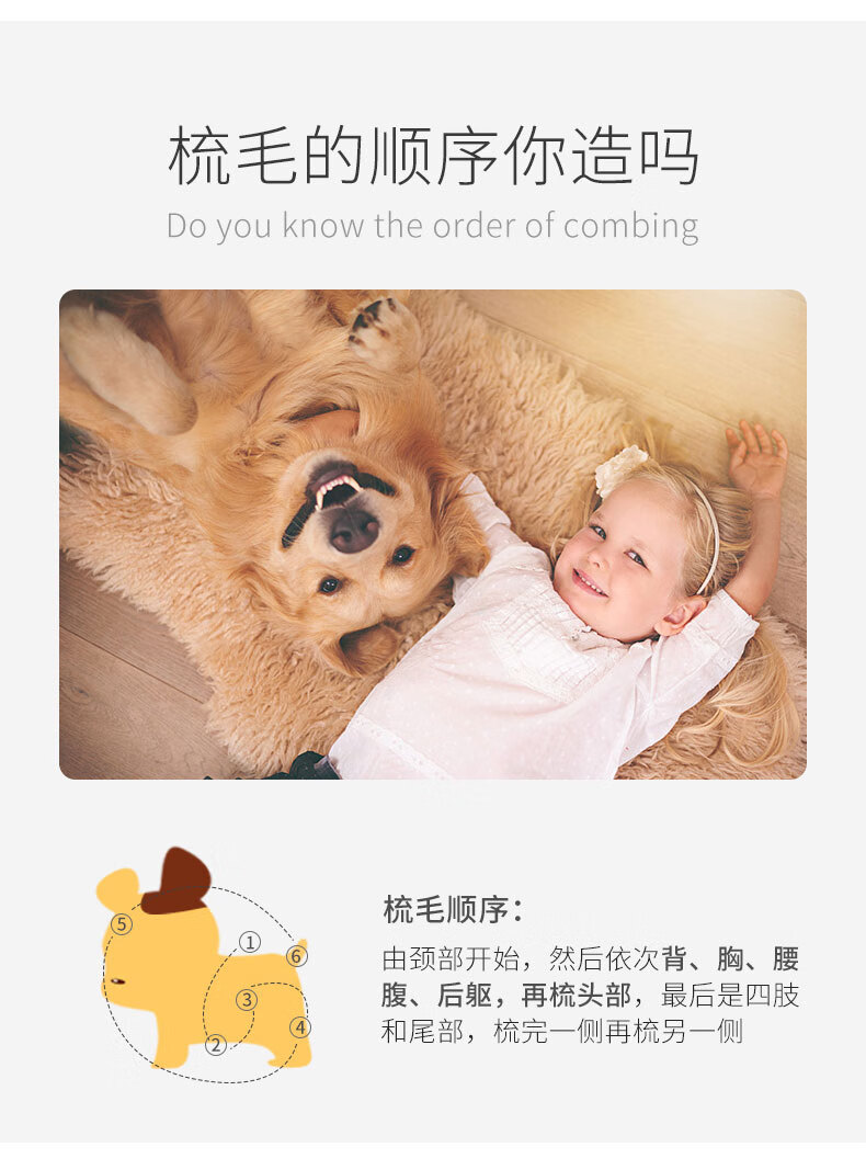 宠物针梳790-1.jpg