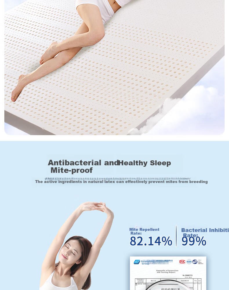 Paratex Direct Import from Source 94% Latex Mattress, Thai Imported Natural Latex Mattress, 1.5x2 Meters 11