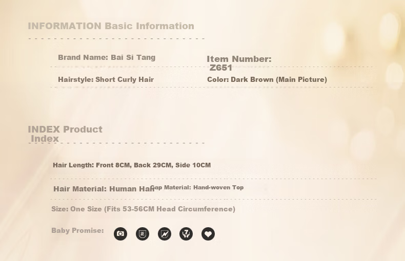 Baisitang Women's Short Wig, Real Hair Wig Set, Natural Full Head Wig for Middle-Aged And Elderly Mothers, Short Curly Hair to Cover Gray 1