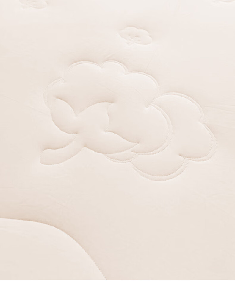 Ran Brand 100% Cotton Quilt A-Class Air Conditioning Quilt Pure Cotton Quilt Spring and Autumn Quilt Approx. 3.2 Jin 150x200cm 11