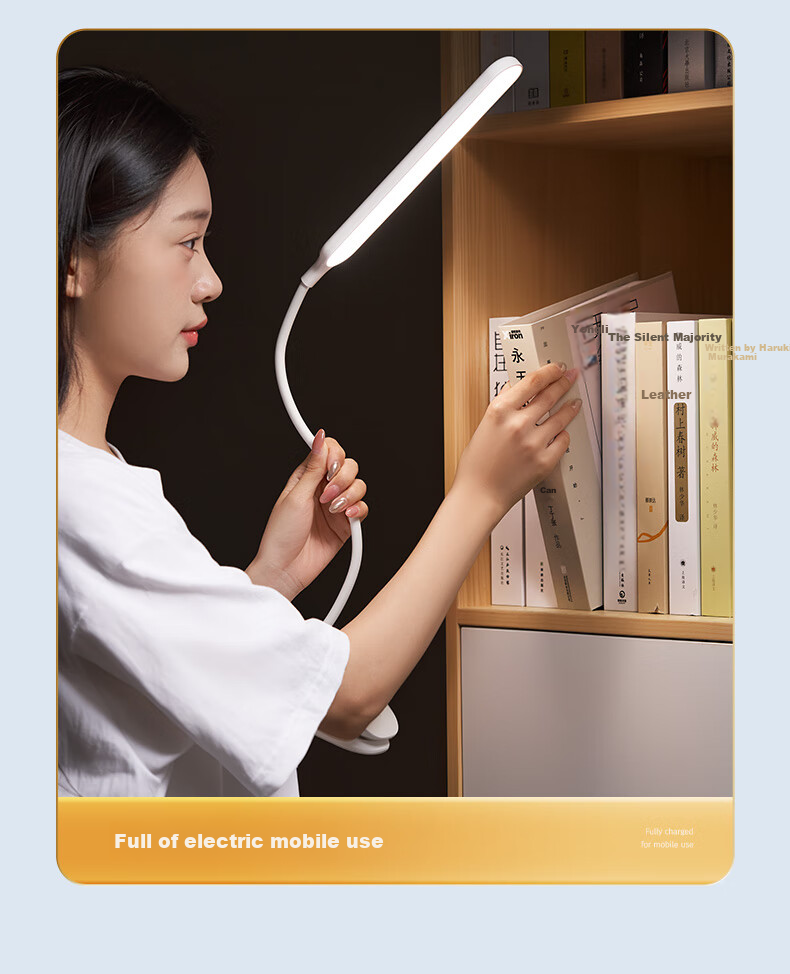 ONEFIRE Rechargeable Clip-On Desk Lamp for College Dormitory, Bedside Eye Protection Light, Long-Lasting Study Lamp, Small Night Light with Clip Stand 12