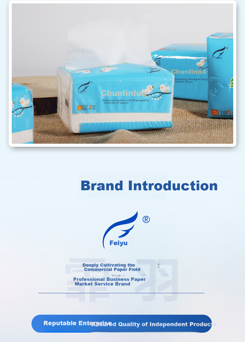 Feiyu Facial Tissues, 2-Ply, 100 Sheets * 100 Packs, Whole Box, Premium Business Simple Packaging, Long Style, 175*180, Pull-Out Tissue Paper F7160 7