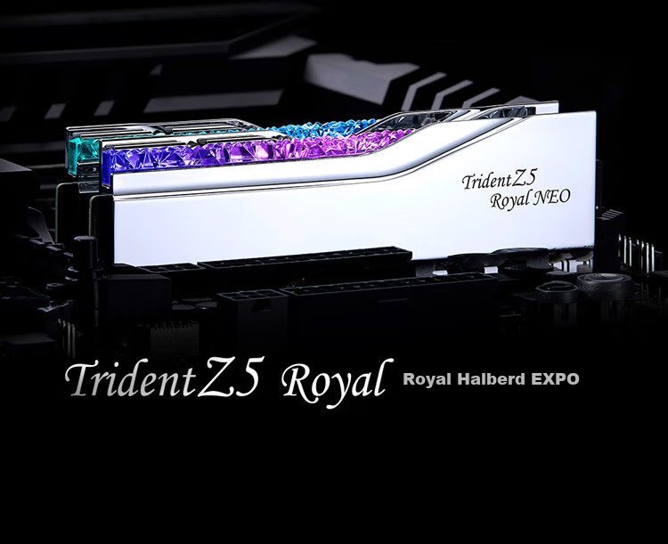 G.SKILL 32GB (16Gx2) Kit DDR5 6000MHz Desktop Memory - Trident Z EXPO Edition RGB Light Bar - Silver/C28 6
