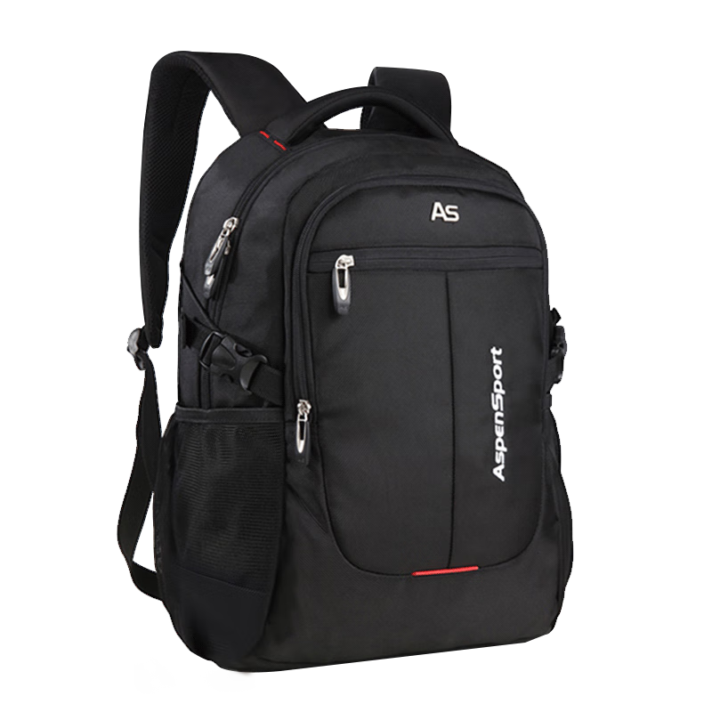 ASPENSPORT Large Capacity Lightweight Backpack for Middle and High School Students Travel Laptop Bag