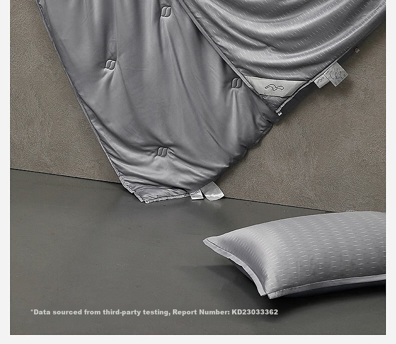 Shuixingjiafang Silk Comforter, 100% Silk Winter Quilt, Winter Double-Layer Quilt, Two-In Duvet Insert, Approximately 8.8 Jin, 200×230cm 18