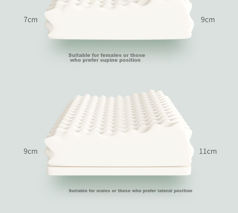 JaCe Thai Imported Latex Pillow, Bread-Shaped Cervical Pillow, 96% Natural Latex Content 11