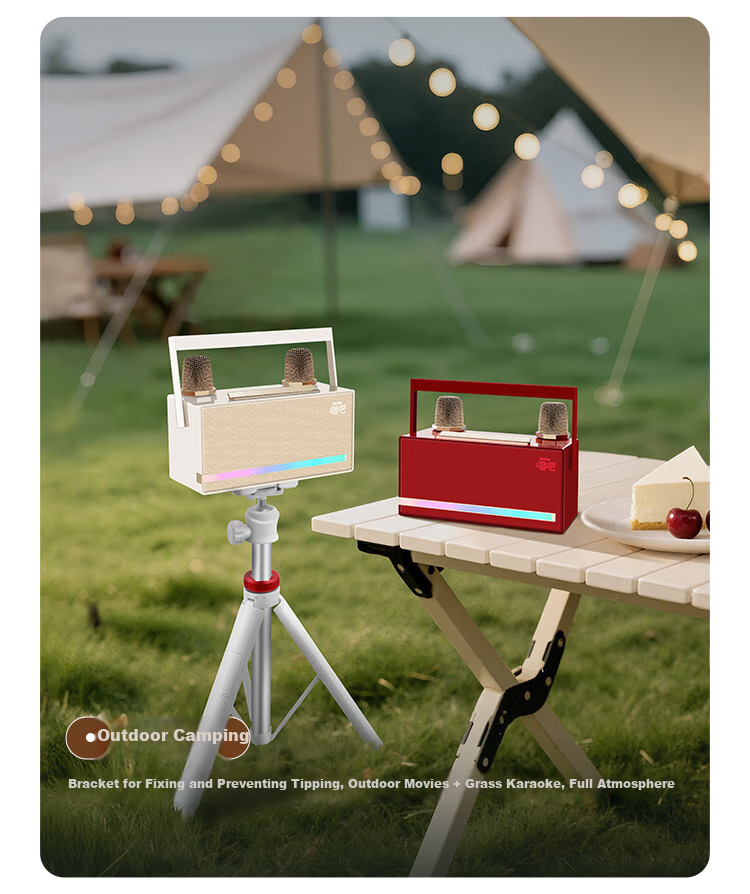 Changba Xiaojuandan L21 Microphone Karaoke Speaker Combo, Home KTV Set, Outdoor Wireless Bluetooth Children's Microphone, Computer And TV Sound System, Birthday Gift, Musi Bai 20