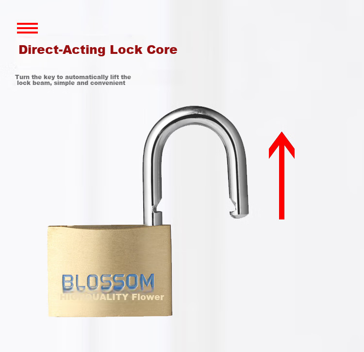 BLOSSOM Copper Padlock, 45MM, Double Latch Anti-Theft Rust-Resistant Lock, for Trunk And Cabinet Doors, 075 3