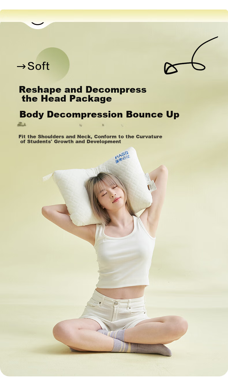 BEYOND Home Textile Student Dormitory Pillow Core, Breathable And Soft Children's Pillow Core, Student Pillow, Single Pack, Shuxiang 48*74cm 3
