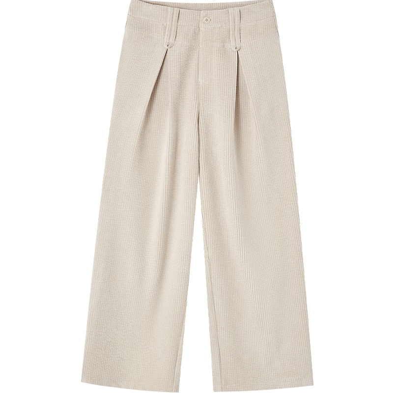 Demana Pear-Shaped Autumn Warm Plush Chenille Pleated Elegant Petite Wide-Leg Women's Casual Pants