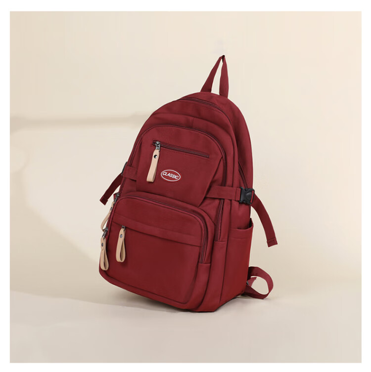 Aiqinghai Backpack for Women, Laptop Bag, Fashionable High-End Stylish Travel Business Casual Sports Lightweight Commuter Bag 4