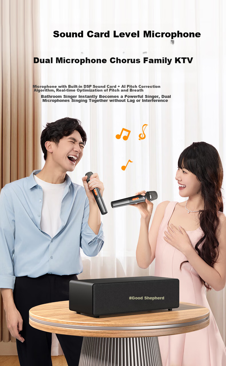 Haomuren Karaoke Sound System, Home KTV Sound Package, All-In Karaoke Machine for Singing at Home, Karaoke TV, Microphone, Karaoke Machine with Song Selection Function, Wireless Microphone, Bluetooth Speaker, Amplifier 9
