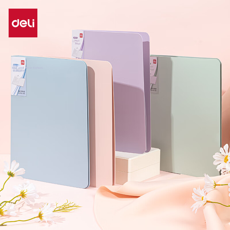 Deli Changcai 4 A4/40-Page Color Document Folder Set, Loose-Leaf Pocket File Folder, Primary And Secondary School Exam Paper And Receipt Storage Folder 27015