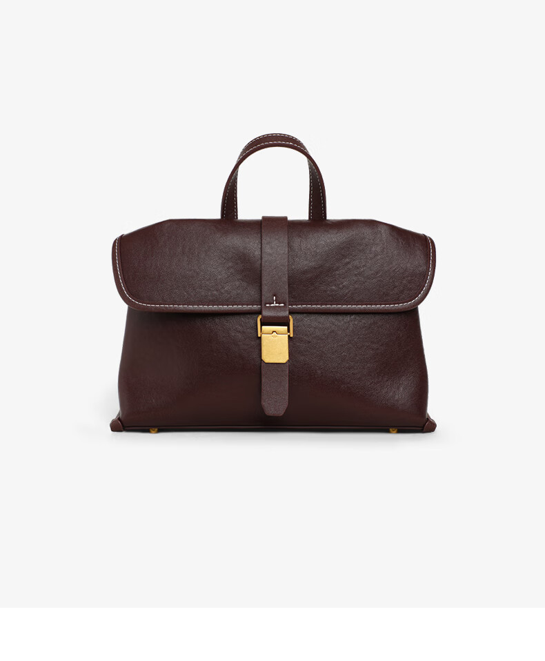Aiqinghai Handbag, Women's Crossbody Bag, Shoulder Bag, Commuter Light Luxury Brand, Birthday And Mother's Day Gift, Practical Present for Mom 6