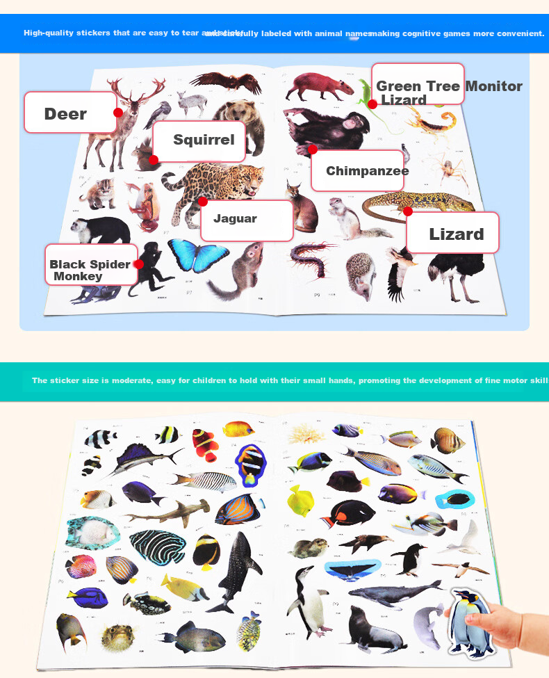 BANGSON Animal Cognition Stickers, Educational Toy Set for Boys And Girls Aged 2-5, Early Learning Enlightenment, Complete 4 Volumes 4