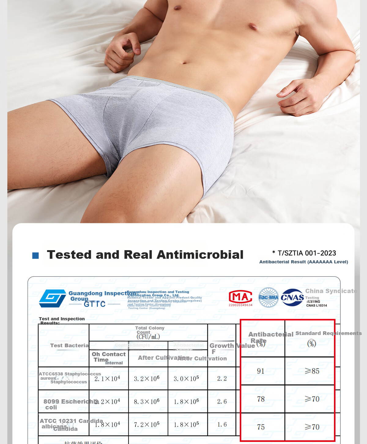 Freego Disposable Men's Boxer Briefs, Pure Cotton, Travel-Friendly, Sterilized, Portable, Comfortable, Large Size, 3 Pairs, Men's Gray, Size L 14
