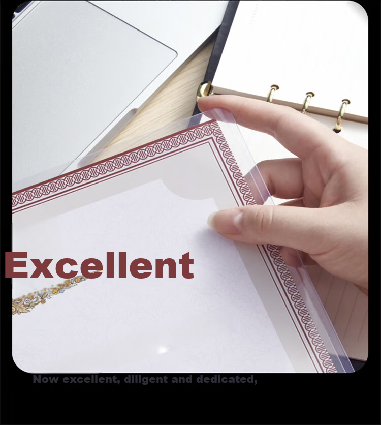 DSB (Disbi) A3 Transparent Hard Plastic Sleeves, Document Holders, Display Frames, PVC Card Sleeves, Hard Plastic Covers, Paper Protectors, Material Display Bags, Card Pouches, Kshi (Card) 10 Pieces Per Pack 8