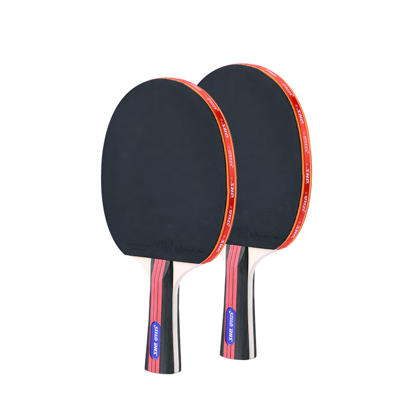 DHS Table Tennis Racket, SH Penhold Grip, Two Paddles Set, for Training And Entertainment