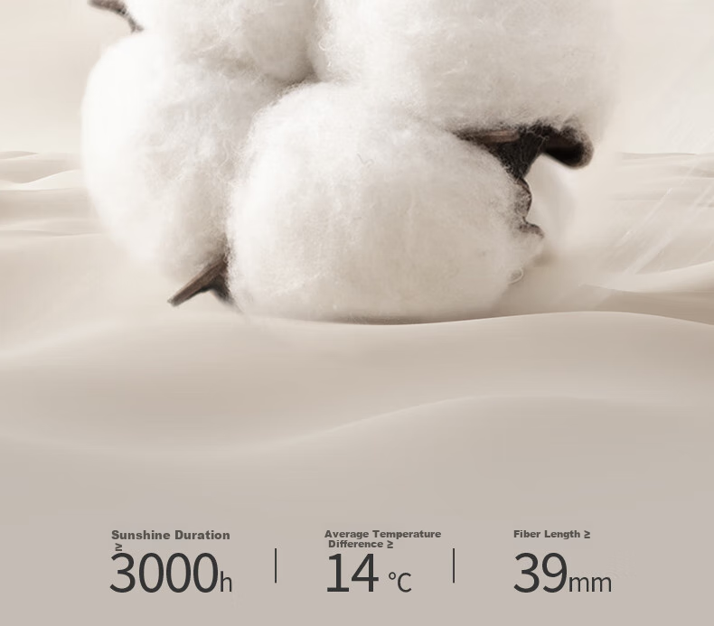 JIEBO 60-Piece Pure Cotton Bedding Set, All-Cotton Brushed Four-Piece Set, Class A Long-Staple Cotton, High-End Luxury Bedsheet Style, for 2.0/2.2 Meter Bed, Duvet Cover 220×240cm 6