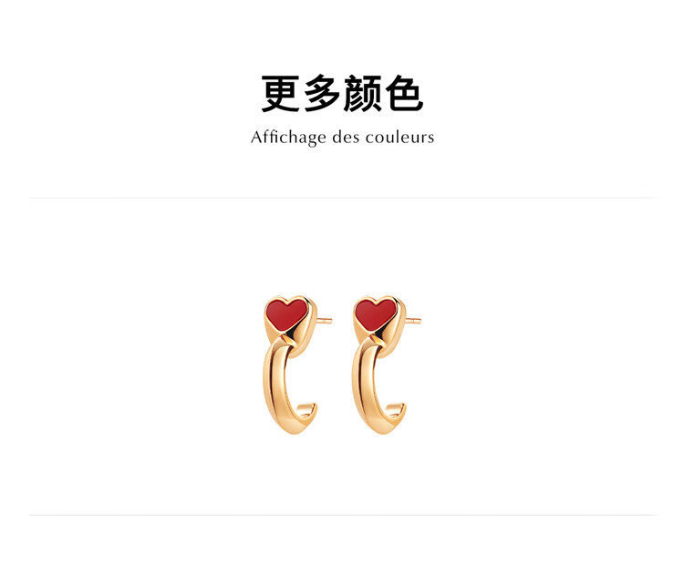 Dukou Rose Earrings for Women, Elegant And Luxurious, Fashionable Niche Studs, Practical Birthday Gift for Girlfriend Or Wife 2