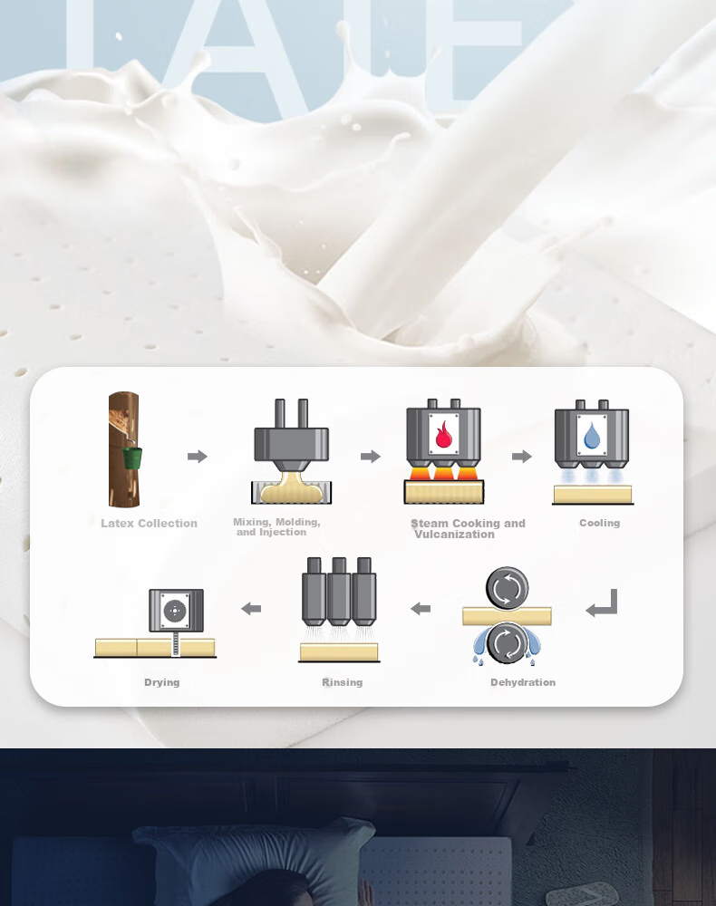 Paratex Direct Import from Source 94% Latex Mattress, Thai Imported Natural Latex Mattress, 1.5x2 Meters 13
