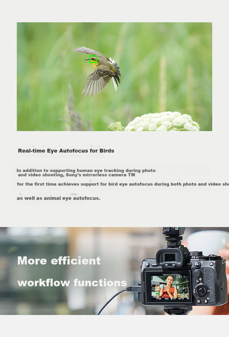 SONY ILCE-7M4 Full-Frame Mirrorless Camera, Professional Creative Appearance Filter, 4K Video Vlog Shooting, A74/α7IV A7M4 Travel Photography Kit 22