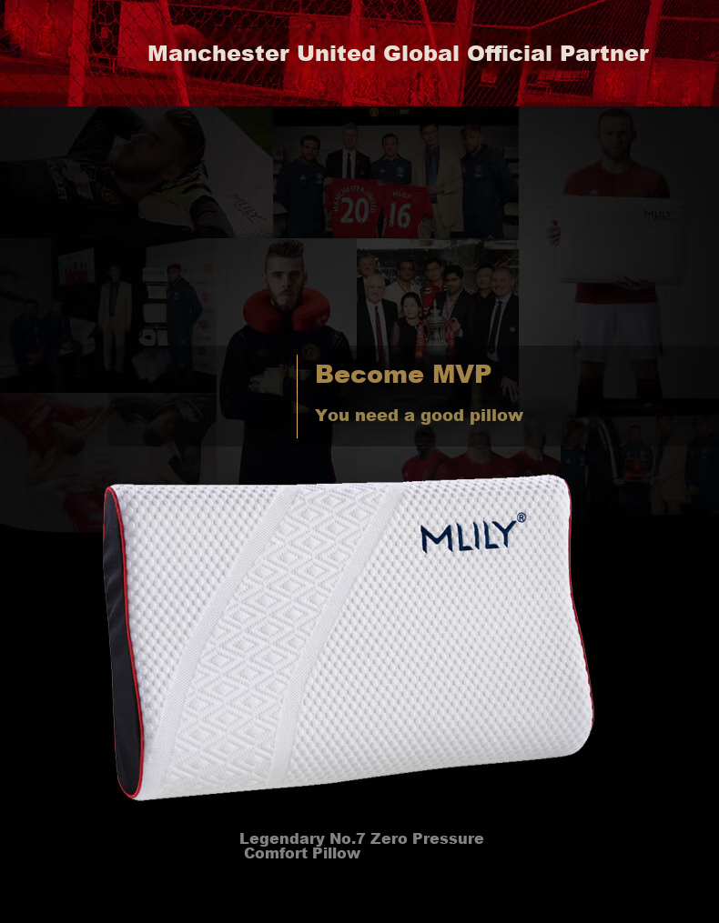 MLILY Slow Rebound Memory Foam Pillow Core Cervical Spine Sleep Adult Sleeping Manlian Care Pillow L 60*40*12cm 1