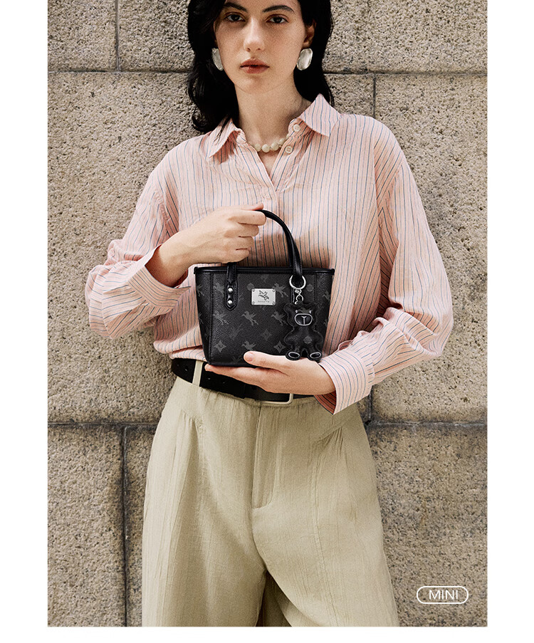 NUCELLE Pegasus Mini Tote Bag, New Light Luxury Niche Basket Handbag, Commuter Shoulder Crossbody Women's Bag Gift 15