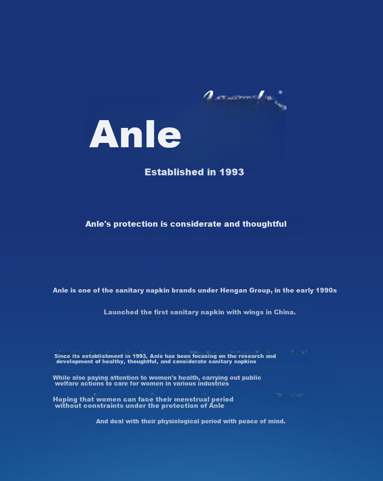 Anerle Sanitary Napkins Day And Night Use with Blue Core, Quick Absorption, 245mm*14+275mm*6 [Brand Direct Supply, Safe Quality] 7