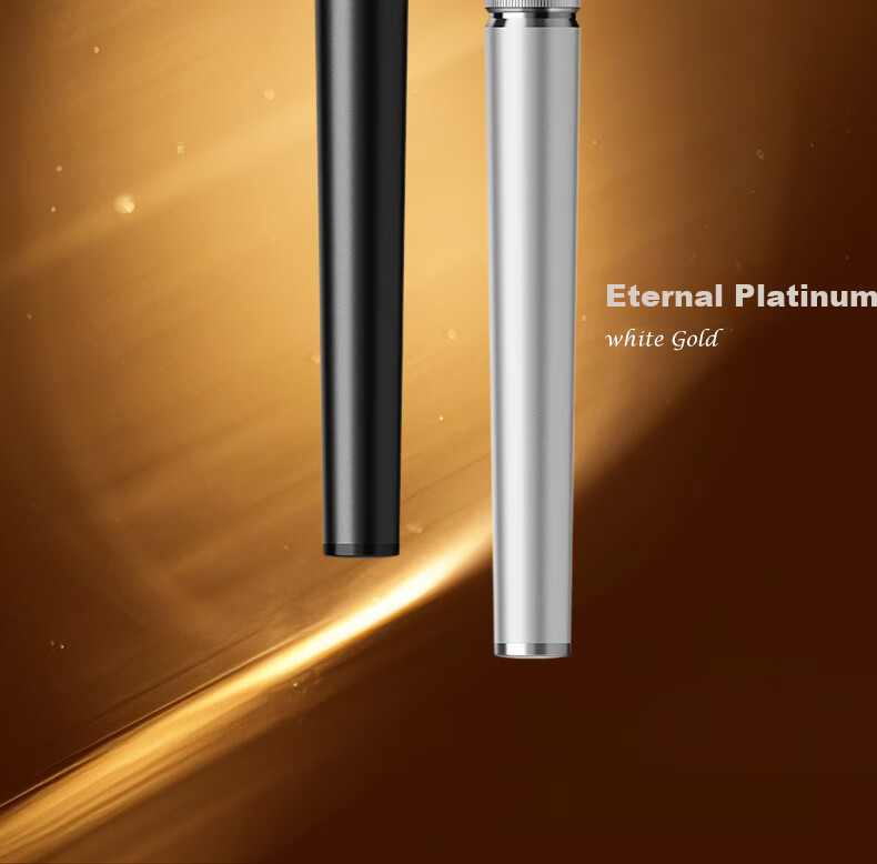 HERO Fountain Pen, Zhenrong Series Light Luxury 10K Gold Pen, Black And Gold Ink Gift Box, High-End Signature Pen for Men, Leaders, Teachers, Birthday Gift 13