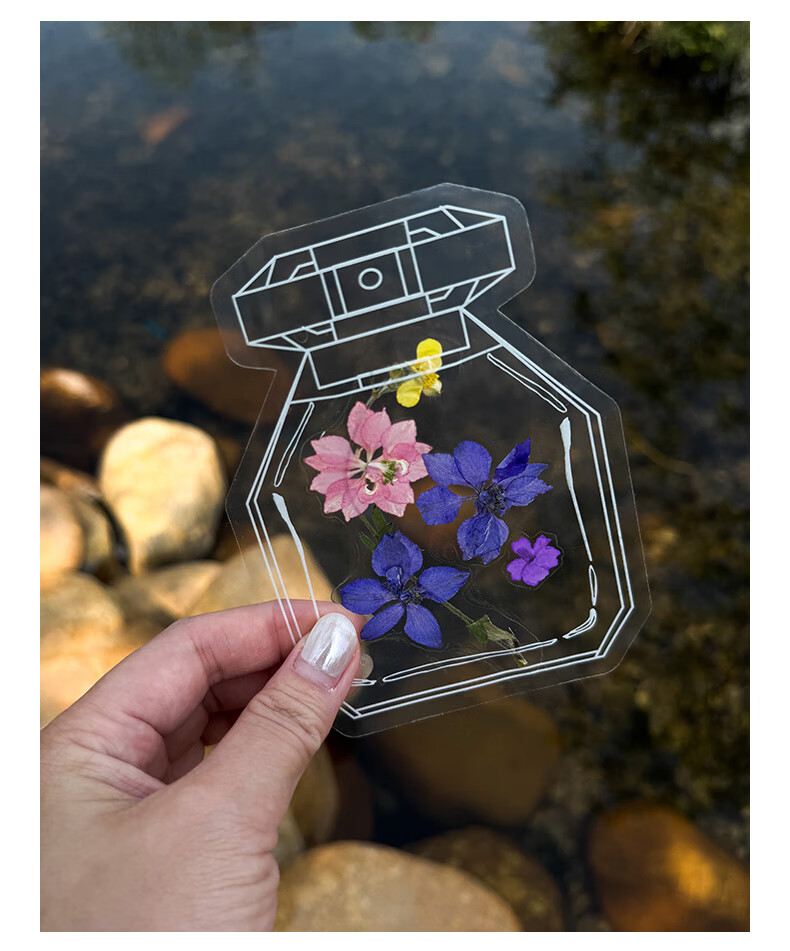 Tianse Transparent Dried Flower Bookmarks Handmade DIY Material Kit Leaf Specimen Laminated Plant Pressed Petals Back to School Set 20 Sheets TS-6132 25