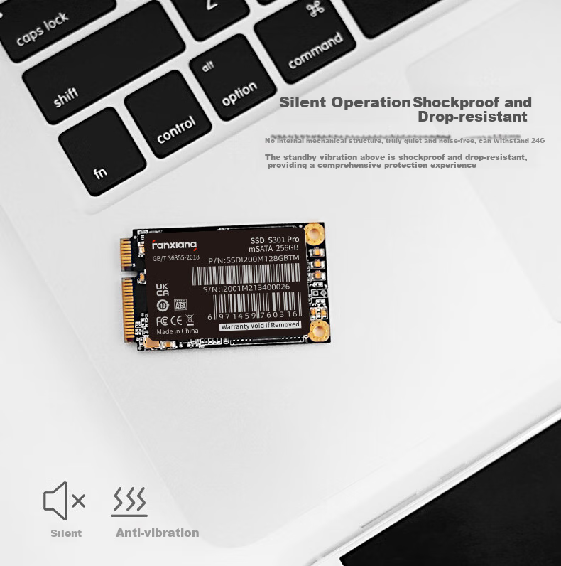 FANXIANG 1TB SSD Solid State Drive, mSATA Interface, Compatible with All-In Desktop And Laptop Computers, S301PRO 4