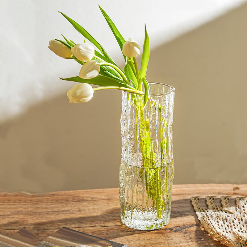 Fanye's Premium Glass Vase Decorative Ornament for Living Room, Transparent Luxury Water Culture Vase for Lilies and Roses