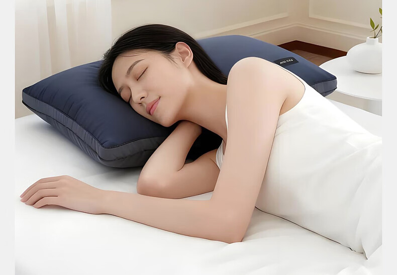 Mercury Home Textile Memory Fiber Antibacterial Mite-Resistant 100S Cotton Class A Neck Support Machine Washable Pillow Core Pair 48×74cm 9