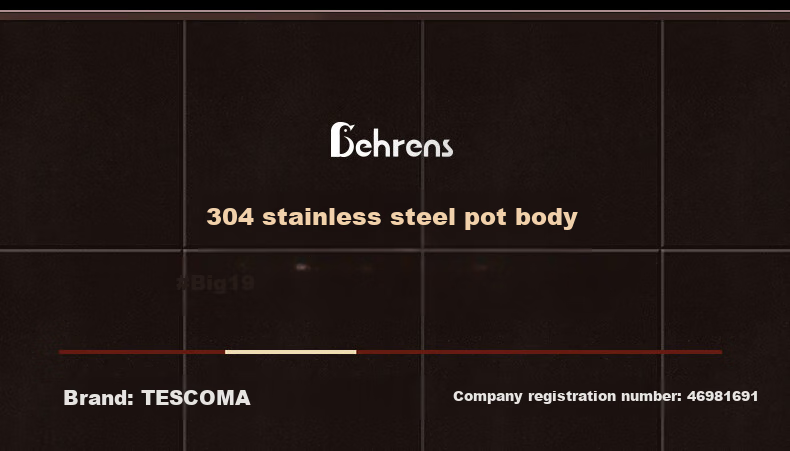 Beilunsi 304 Stainless Steel Soup Pot, Thickened Double-Handled, for Home Use on Gas Stove And Induction Cooker, for Stewing And Making High-Soup Pot with Steamer, 24CM 9